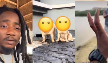 Man cries out as two $2k dogs allegedly drown within hours of his absence