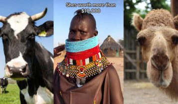 Lady demands 200 cows, 200 camels, 400 goats or sheep as bride price